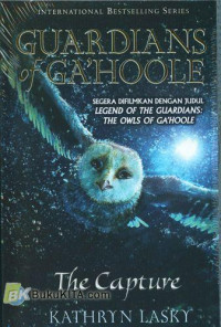 Image of GUARDIANS of GA'HOOLE. The Capture