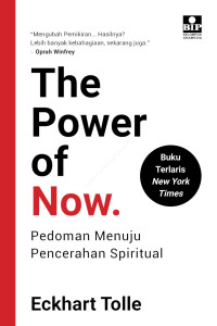 Image of The Power of Now